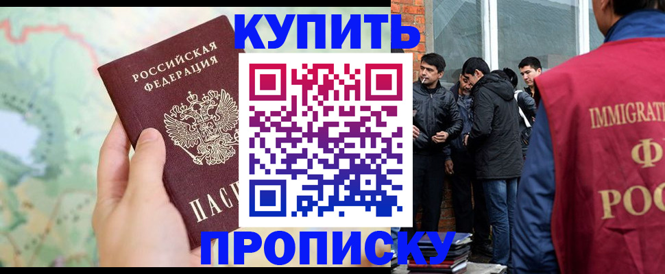 прописка законно в Курчалом